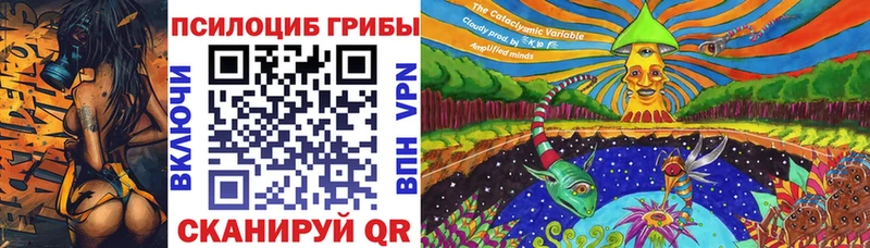 ссылка на мегу как войти  Орск  Псилоцибиновые грибы MAGIC MUSHROOMS 